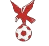 https://img.njpxol.com/img/football/team/4802d26df935b78bb2fcdbbff36e8864.png