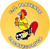 https://img.njpxol.com/img/football/team/63b0933cc303927659846a4ed54b1522.png